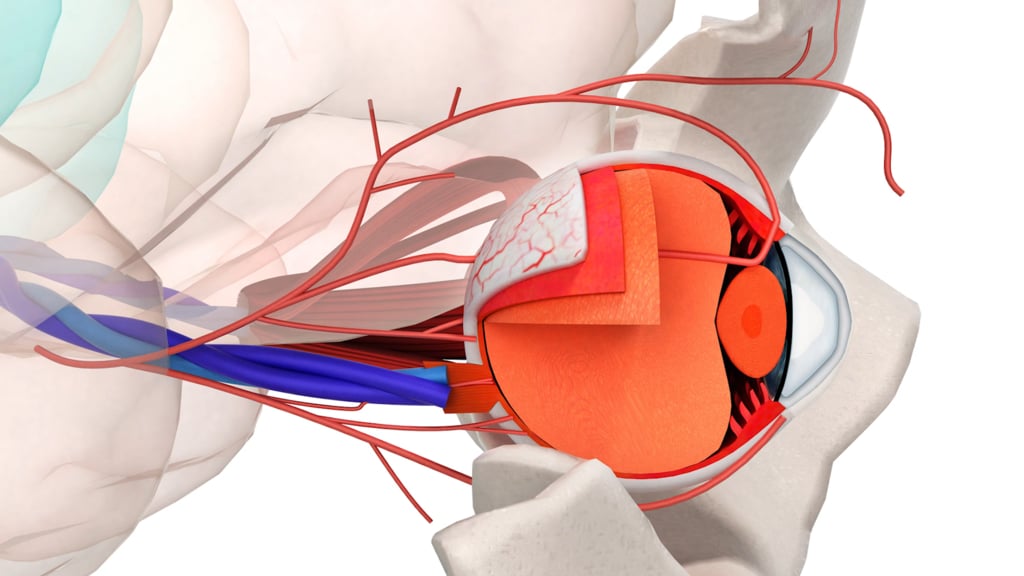 Pituitary Tumor Need Treatment Doctorpedia Doctor Reviewed Video 1857